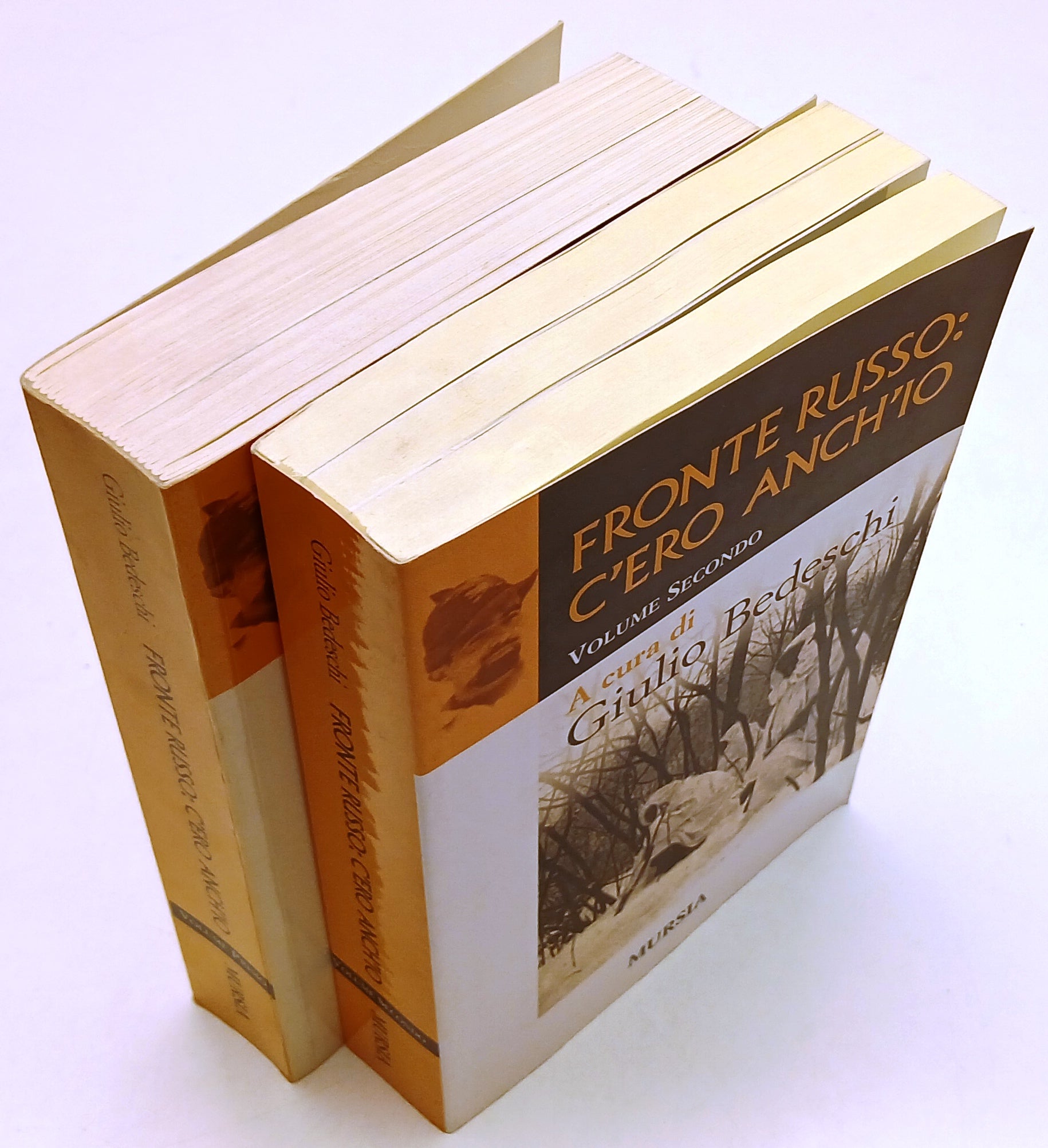 LS- FRONTE RUSSO C'ERO ANCH'IO 2 VOLUMI - GIULIO BEDESCHI - MURSIA - B - ZFS39