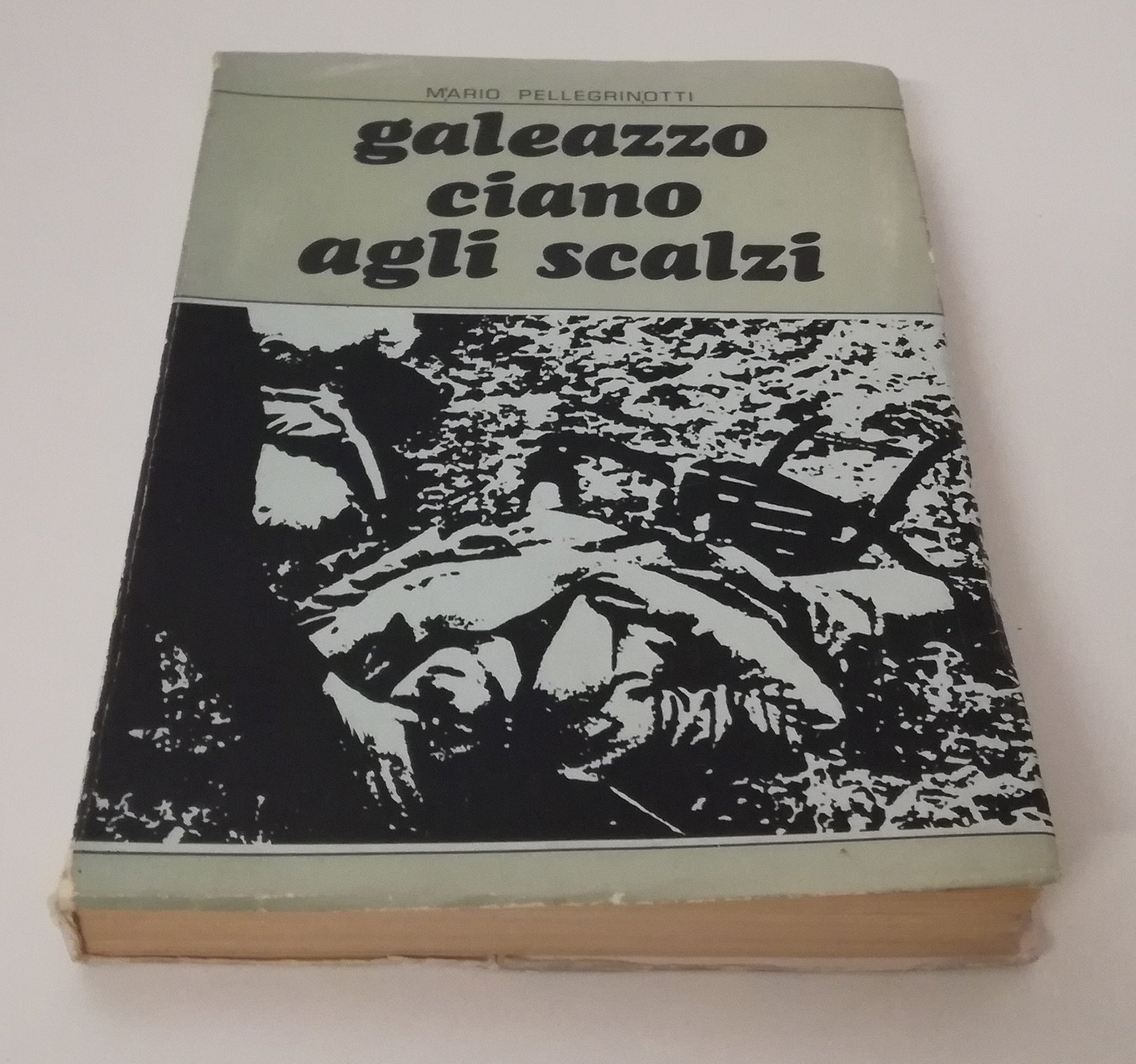 LN- GALEAZZO CIANO AGLI SCALZI - PELLEGRINOTTI - PARMA-- 1a ED.- 1968 - B - MLT1