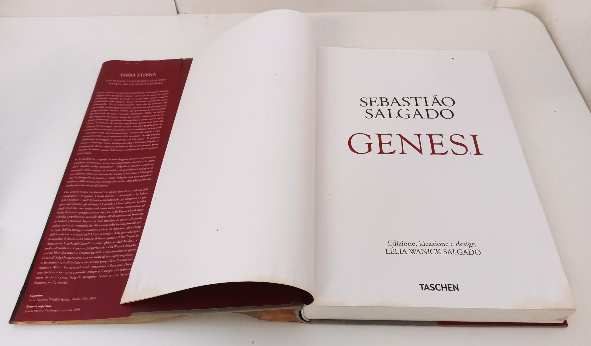 LZ- GENESI - SEBASTIAO SALGADO - TASCHEN --- 2013 - CS - YFS51
