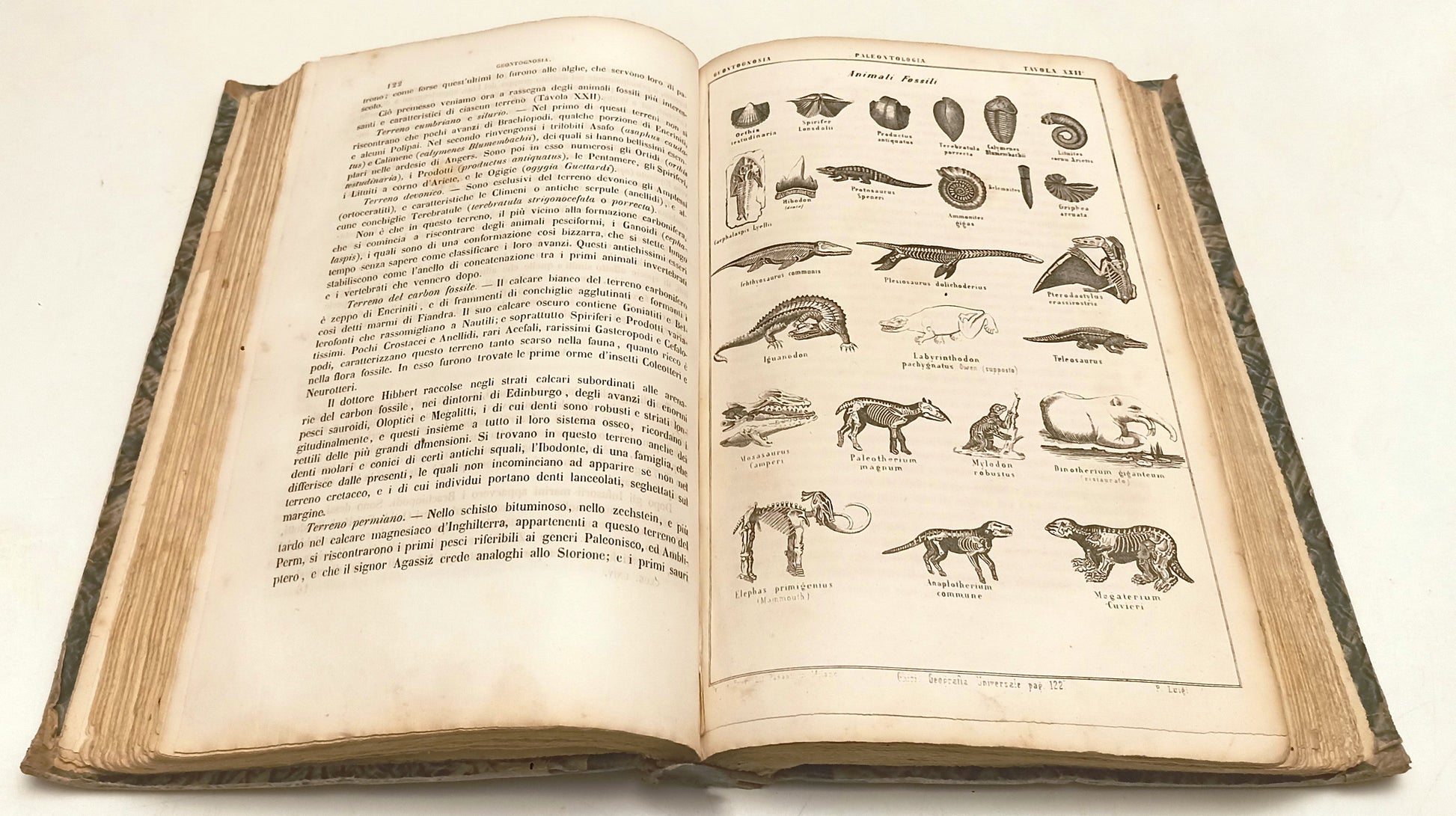 LH- PROSPETTO DI GEOGRAFIA UNIVERSALE TAVOLE - ABATE GHISI ---- 1859- C- XFS68