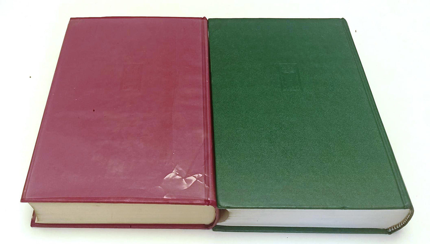 LZ- GEOTECNICA E TECNICA DELLE FONDAZIONI 1/2- CESTELLI GUIDI- HOEPLI- C- YFS648