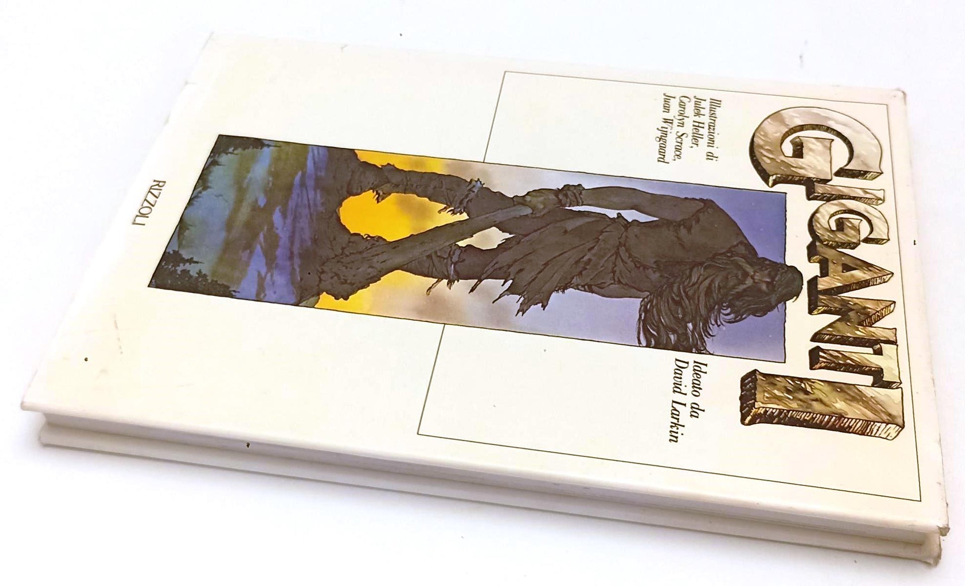 LB- GIGANTI - HELLER SCRACE WIJNGAARD LARKIN - RIZZOLI --- 1980 - CS - YFS514