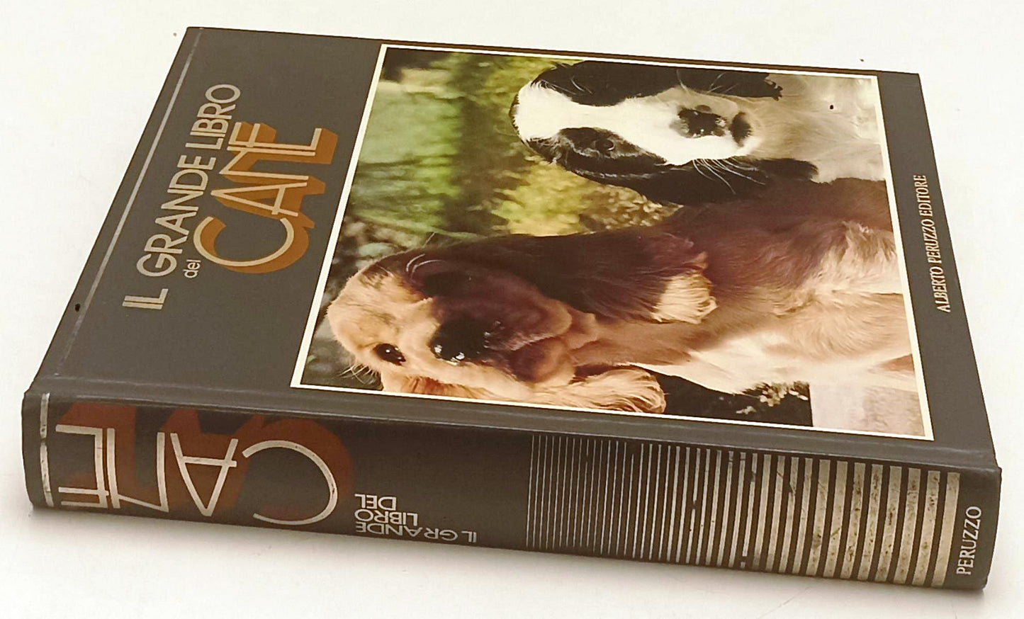 LZ- IL GRANDE LIBRO DEL CANE VOLUME RILEGATO - ALBERTO PERUZZO - 1988- C- YFS308