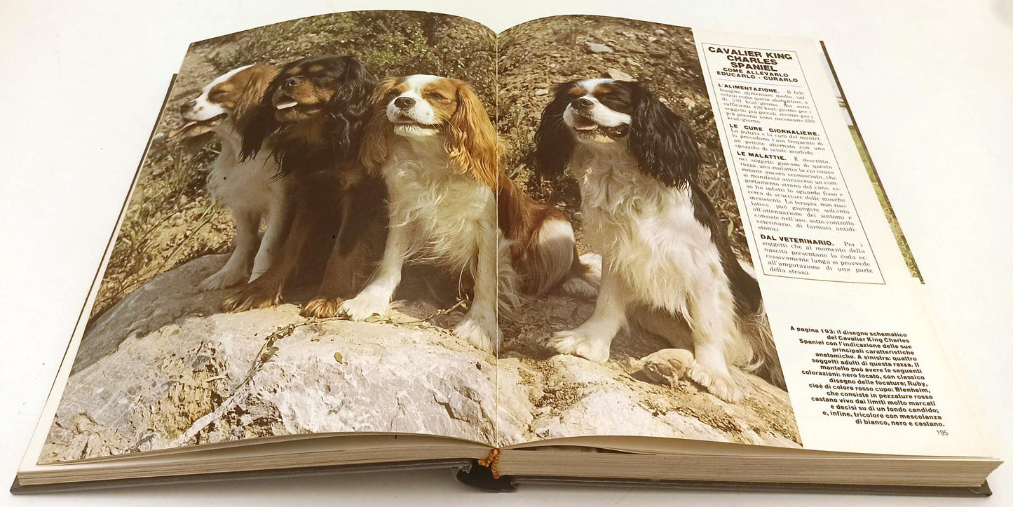 LZ- IL GRANDE LIBRO DEL CANE VOLUME RILEGATO - ALBERTO PERUZZO - 1988- C- YFS308