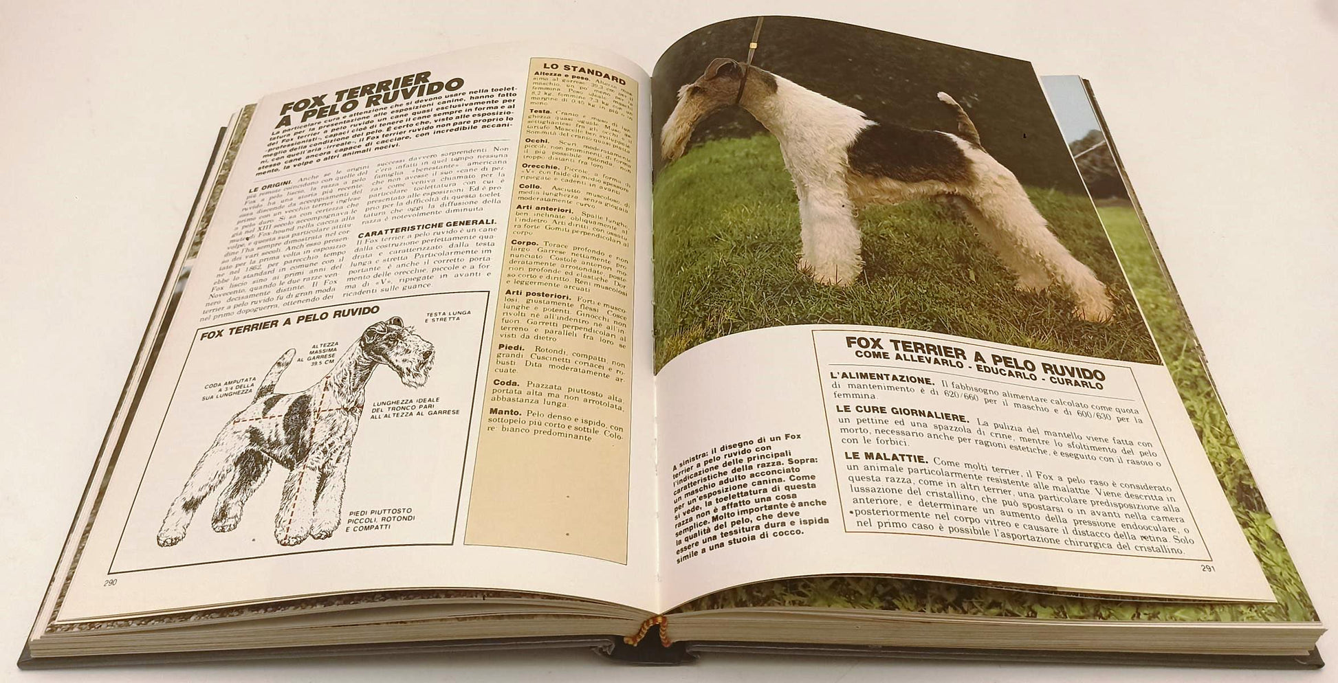 LZ- IL GRANDE LIBRO DEL CANE VOLUME RILEGATO - ALBERTO PERUZZO - 1988- C- YFS308