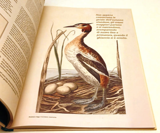LB- IL GRANDE LIBRO DEGLI UCCELLI - BIBI DUMON TAK- RIZZOLI UNIOR- C- YFS901
