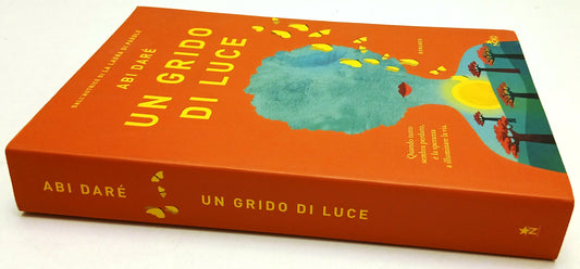 Un grido di luce - Abi Dare' - Nord Narrativa - 1a ed. - ZFS93