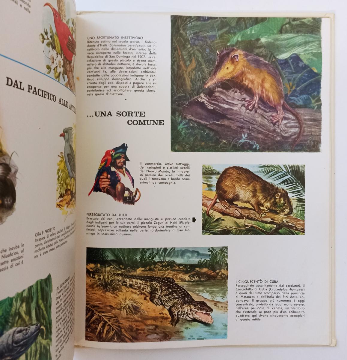 LZ- GUARDA E SCOPRI GLI ANIMALI IN PERICOLO VOLUME 17 -- AMZ --- 1974 - C- YFS65
