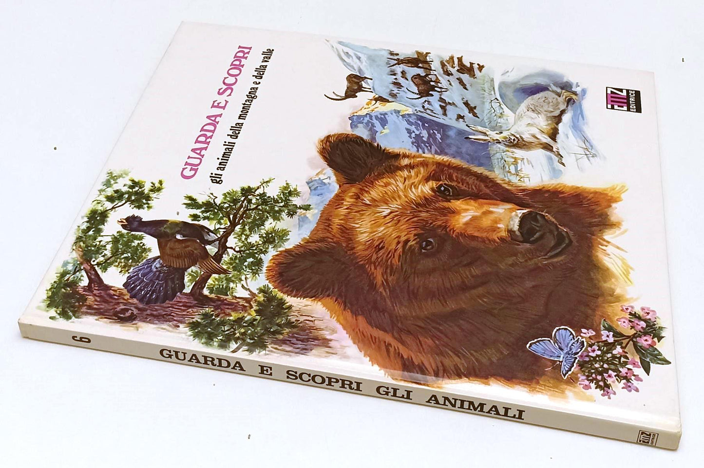 LB- GUARDA E SCOPRI GLI ANIMALI DELLA MONTAGNA E DELLA VALLE N.6 - AMZ - C - RGZ