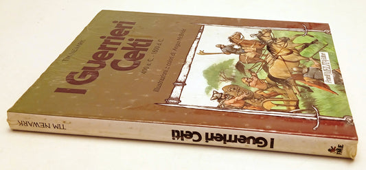 LZ- I GUERRIERI CELTI - TIM NEWARK - FRATELLI MELITA --- 1991 - CS- YFS676