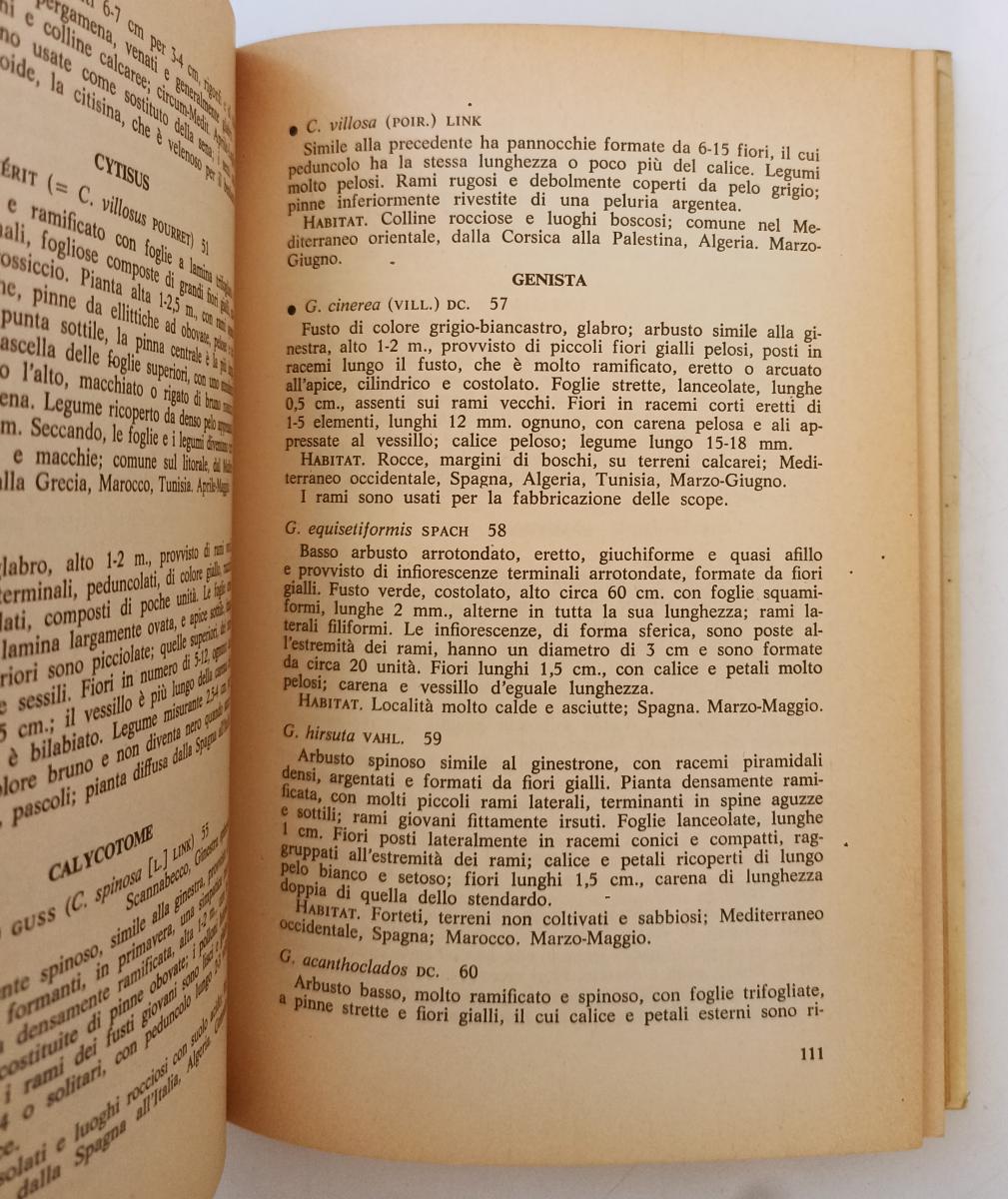 LZ- GUIDA ALLA FLORA MEDITERRANEA - POLUNIN - RIZZOLI- L'ORNITORINCO- CS- XFS142