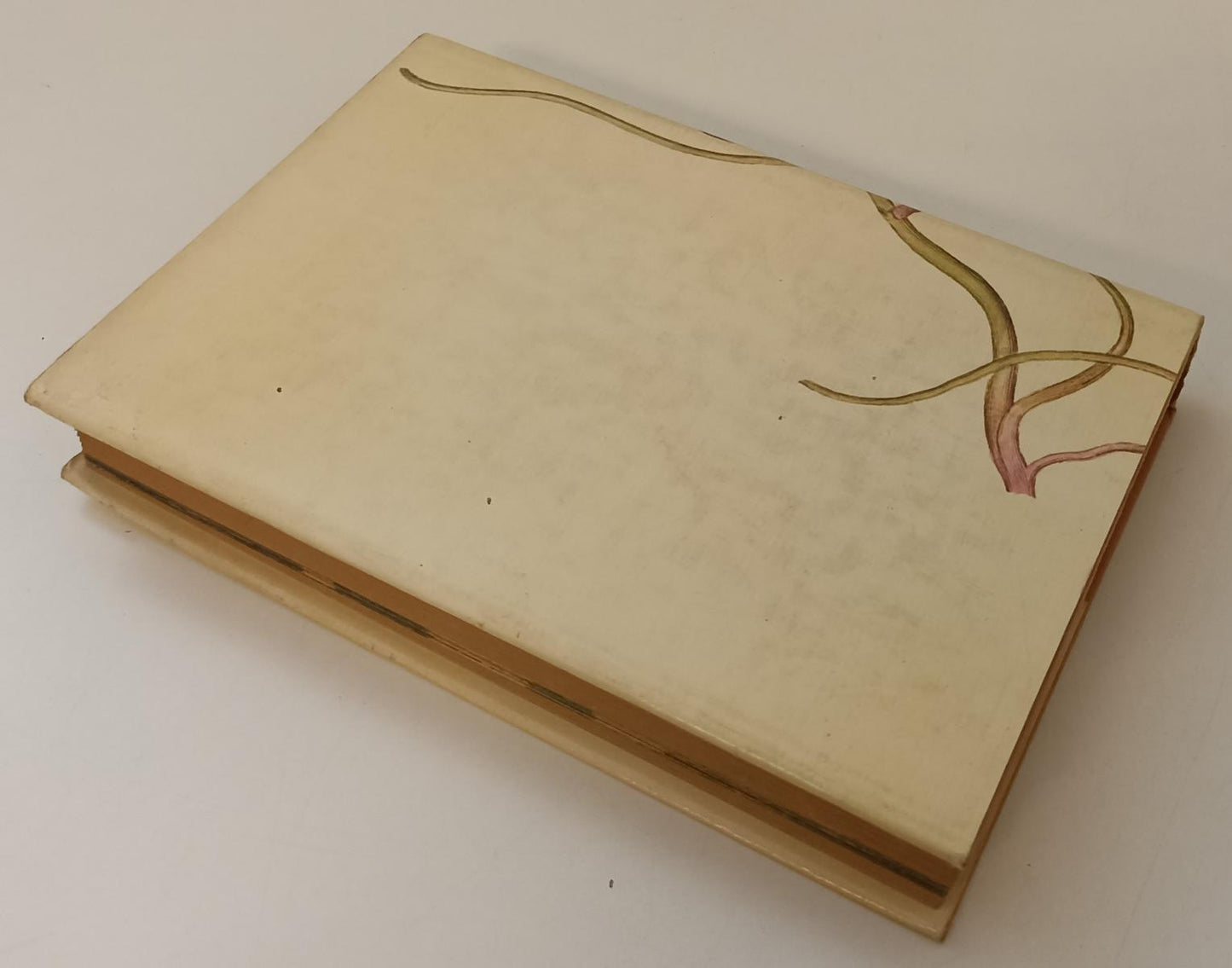 LZ- GUIDA ALLA FLORA MEDITERRANEA - POLUNIN - RIZZOLI- L'ORNITORINCO- CS- XFS142