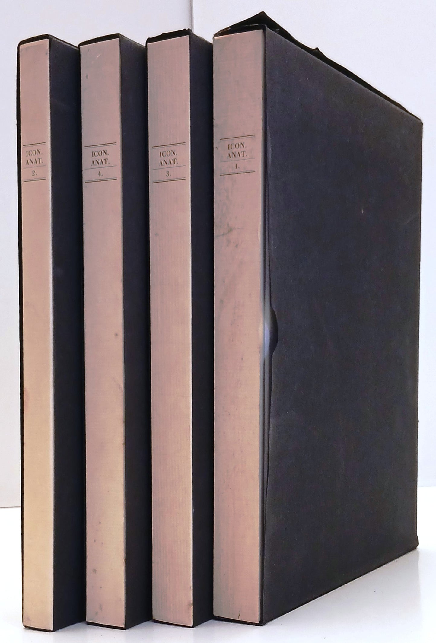 LZ- ICONES ANATOMICAE VOLUMI 1/4 RISTAMPA ANASTATICA - TORCHIO DE' RICCI- ZFS319