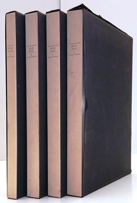 LZ- ICONES ANATOMICAE VOLUMI 1/4 RISTAMPA ANASTATICA - TORCHIO DE' RICCI- ZFS319