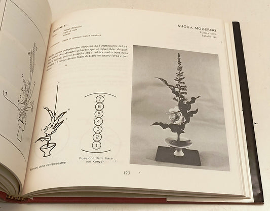LZ- IKEBANA - SHUSUI KOMODA HORST POINTNER - CDE --- 1989- CS- YFS609