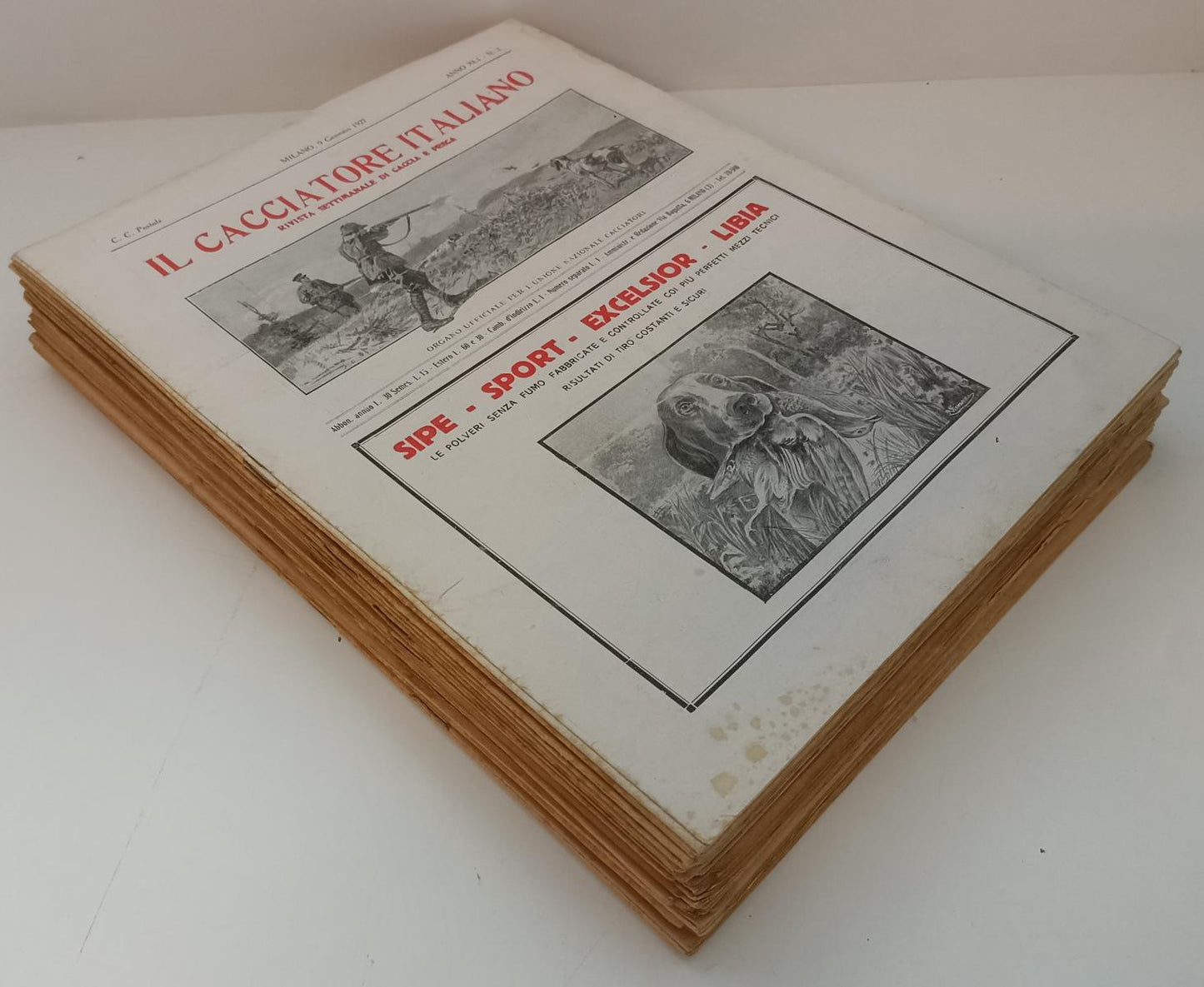 LR- RIVISTA IL CACCIATORE ITALIANO ANNATA 1927 QCOMPLETA ----- 1927 - S - XFS154