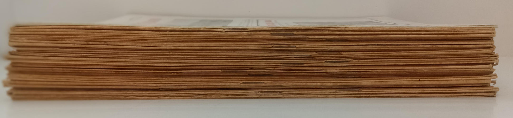 LR- RIVISTA IL CACCIATORE ITALIANO ANNATA 1927 QCOMPLETA ----- 1927 - S - XFS154