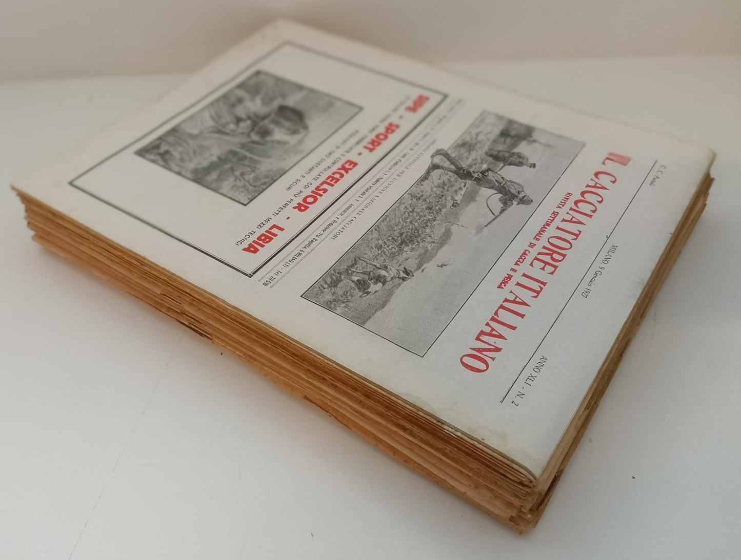 LR- RIVISTA IL CACCIATORE ITALIANO ANNATA 1927 QCOMPLETA ----- 1927 - S - XFS154