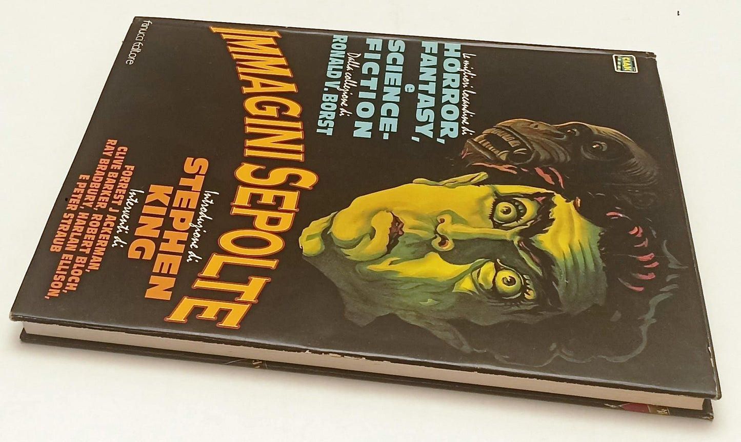 LW- IMMAGINI SEPOLTE locandine di HORROR FANTASY - STEPHEN KING- FANUCCI- YFS515
