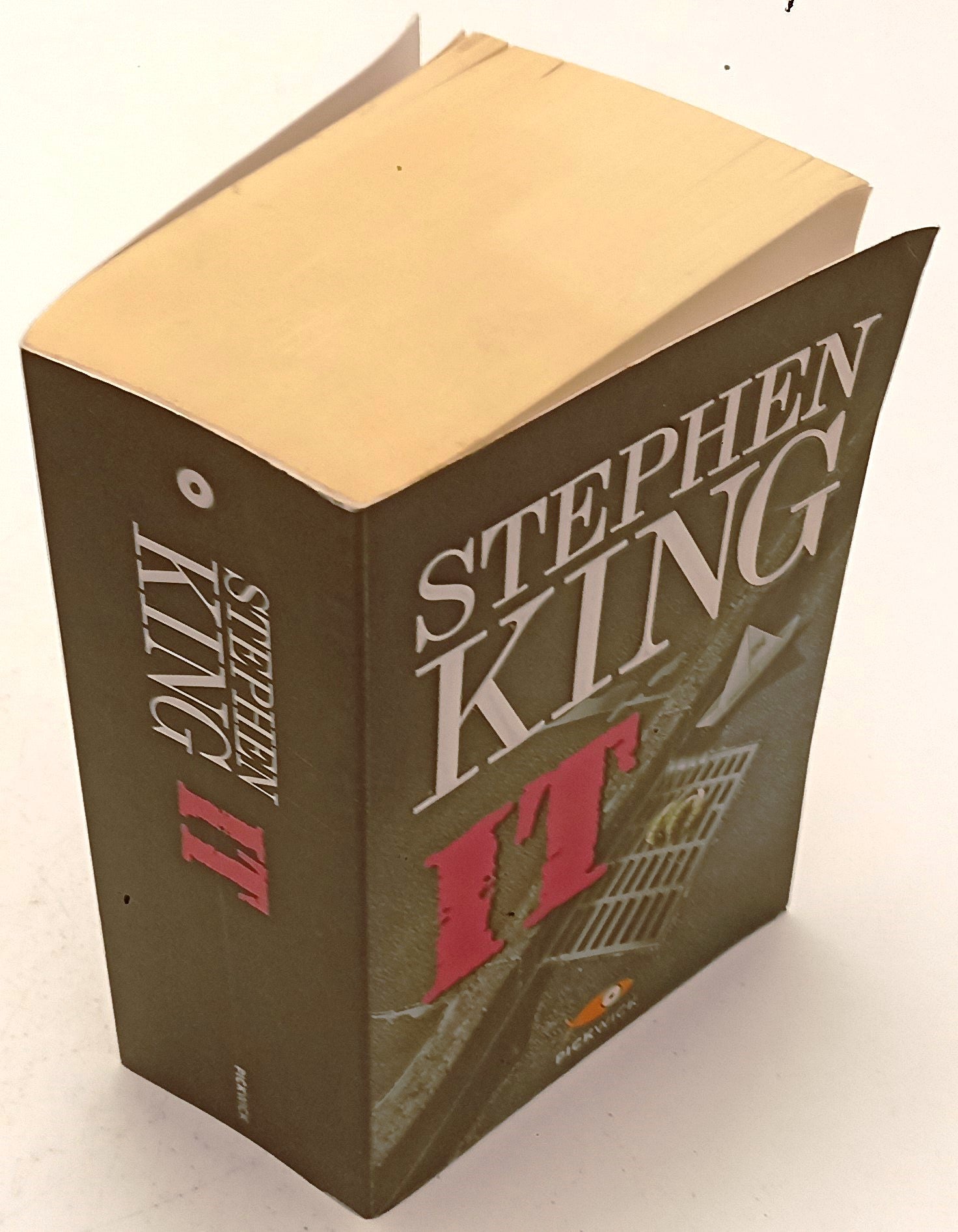 LG- IT - STEPHEN KING - PICKWICK --- 2013 - B - XFS142