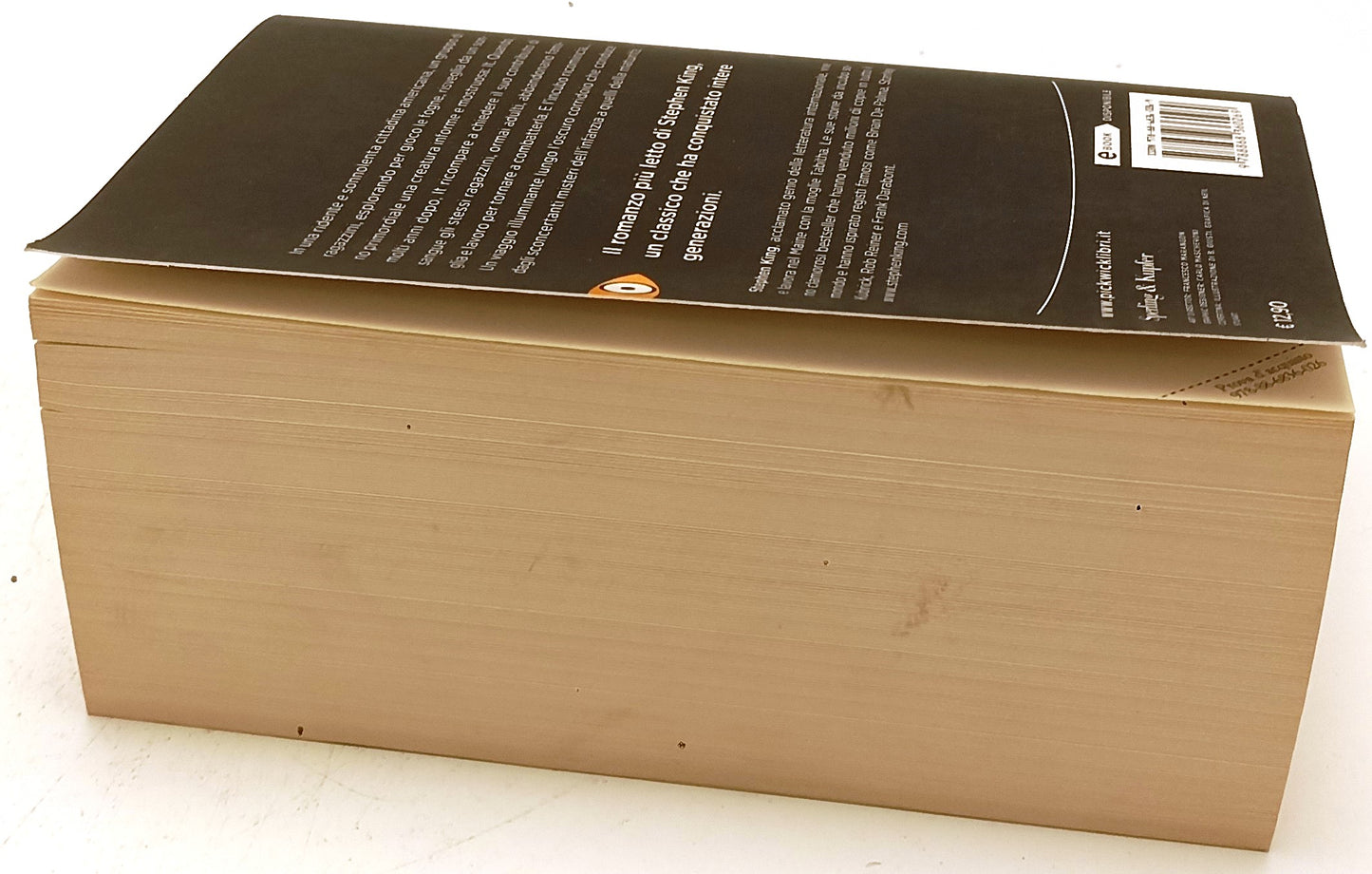 LG- IT - STEPHEN KING - PICKWICK --- 2013 - B - XFS142