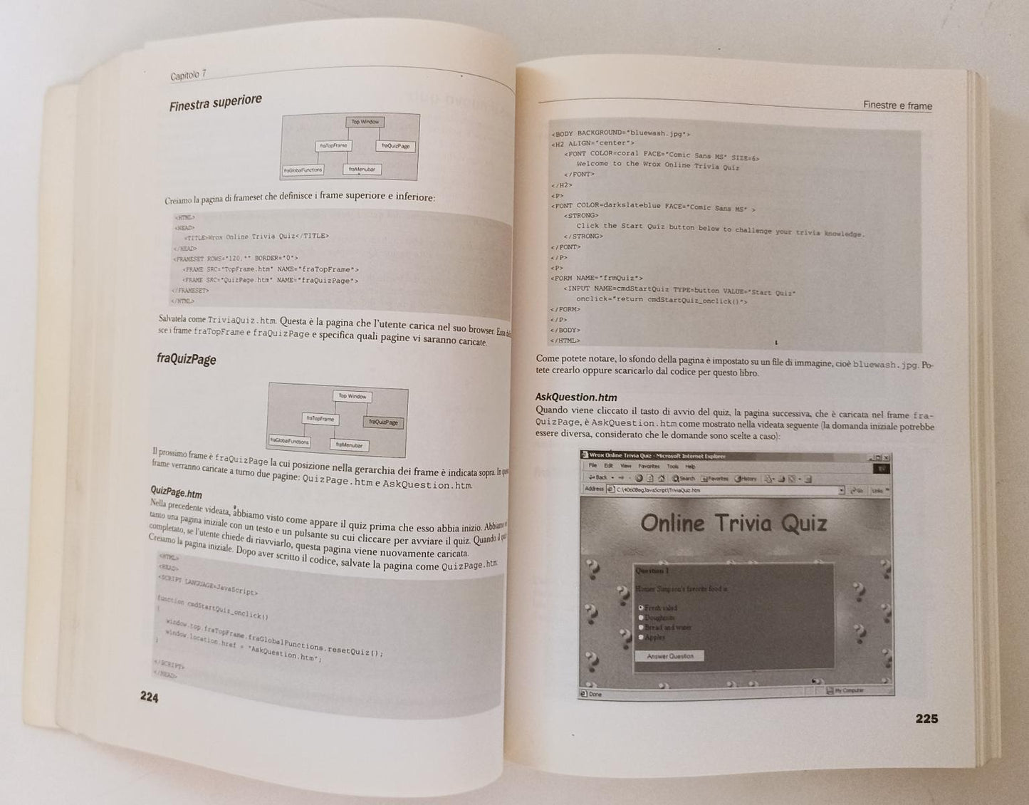 LZ- JAVASCRIPT GUIDA PER LO SVILUPPATORE- PAUL WILTON- HOEPLI--- 2000- B- YFS866