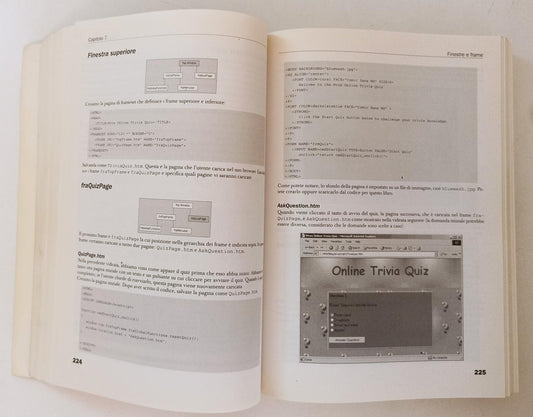 LZ- JAVASCRIPT GUIDA PER LO SVILUPPATORE- PAUL WILTON- HOEPLI--- 2000- B- YFS866