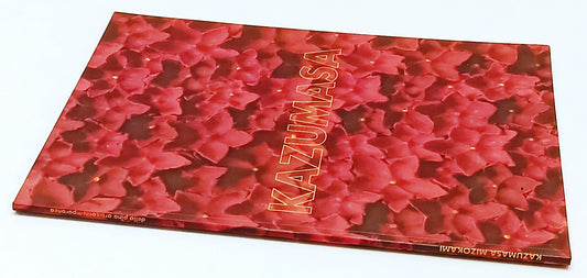 LT- KAZUMASA MIZOKAMI- SCIACCALUGA- DELLAPINA ARTE CONTEMPORANEA- 2004- B-XFS185