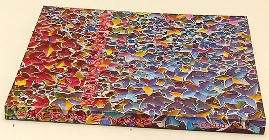 LT- KAZUMASA MIZOKAMI - ELENA PONTIGGIA - GALLERIA TOSELLI ---- B - XFS193