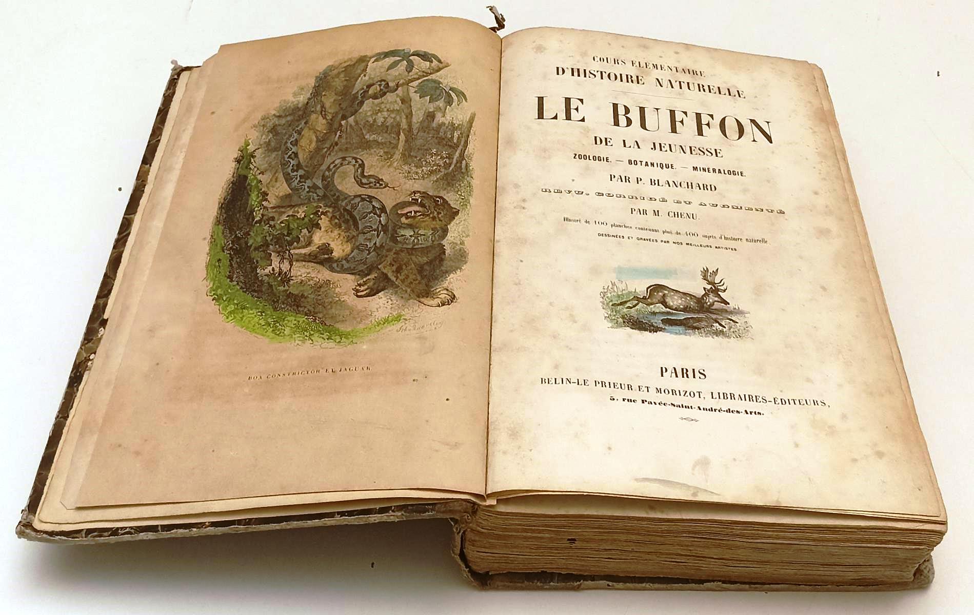 LH- COURS D'HISTOIRE NATURELLE LE BUFFON DE LA JEUNESSE- P. BLANCHARD- C- YFS541