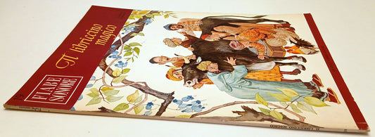 LB- FIABE SONORE N.19 IL LIBRICCINO MAGICO + disco 45 giri - FABBRI - RVSa741