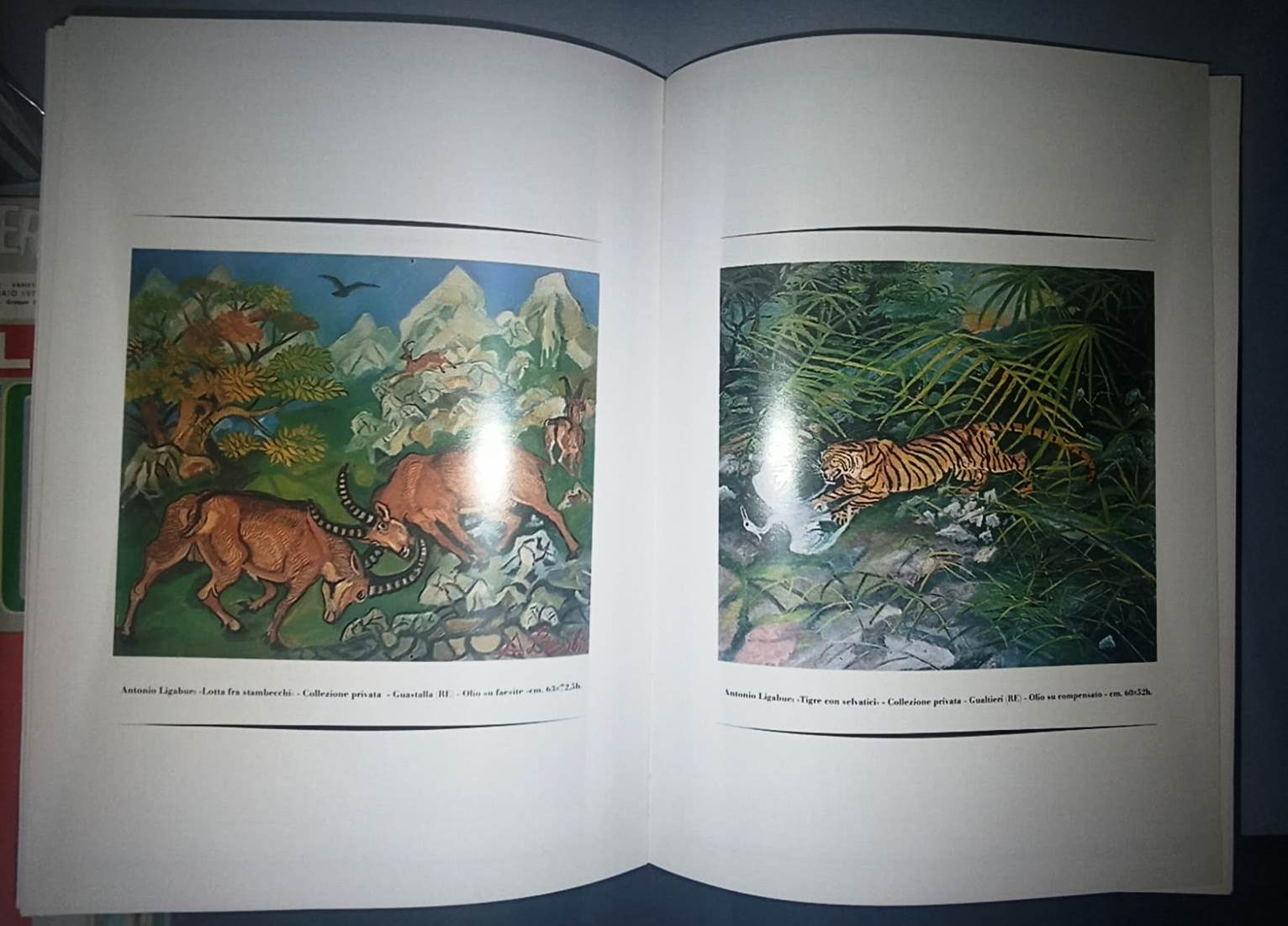 LT- ANTONIO LIGABUE 1899/1965 CATALOGO MOSTRA - AGOSTA TOTA ---- 1980- C- YFS916