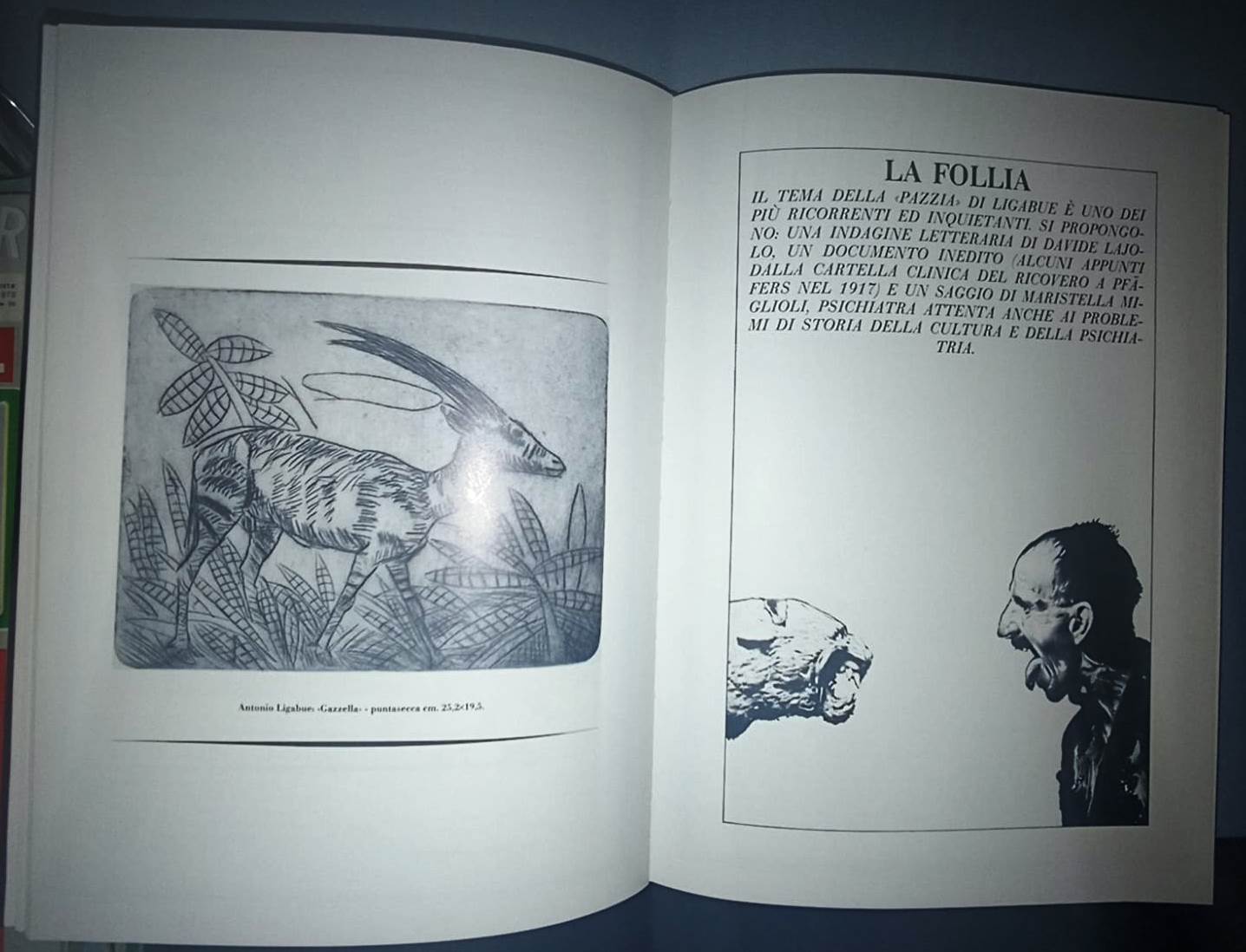 LT- ANTONIO LIGABUE 1899/1965 CATALOGO MOSTRA - AGOSTA TOTA ---- 1980- C- YFS916
