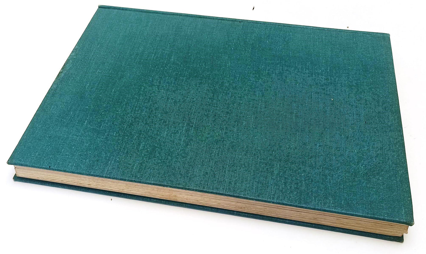 LT- LORENZO VIANI DISEGNI E XILOGRAFIE -- LA NUOVA ITALIA --- 1975 - C - ZFS