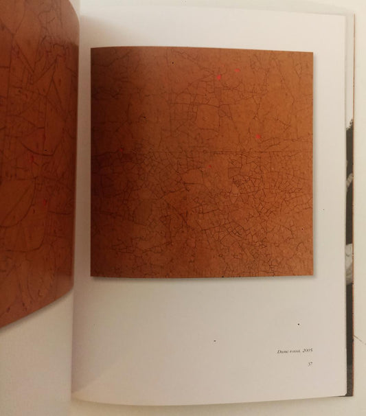 LT- LUIGI MAINOLFI DUNE PAESAGGI DEL CORPO - VESCOVO - 2000 & NOVECENTO - YFS68