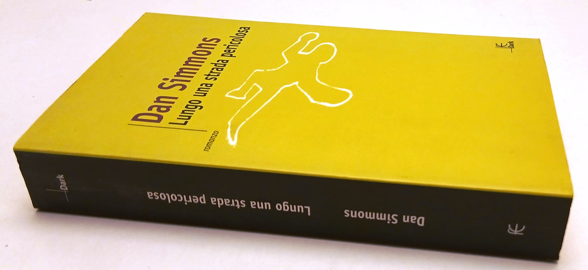 LN- LUNGO UNA STRADA PERICOLOSA - DAN SIMMONS - FANUCCI-  DARK-- 2001- B- YFS91