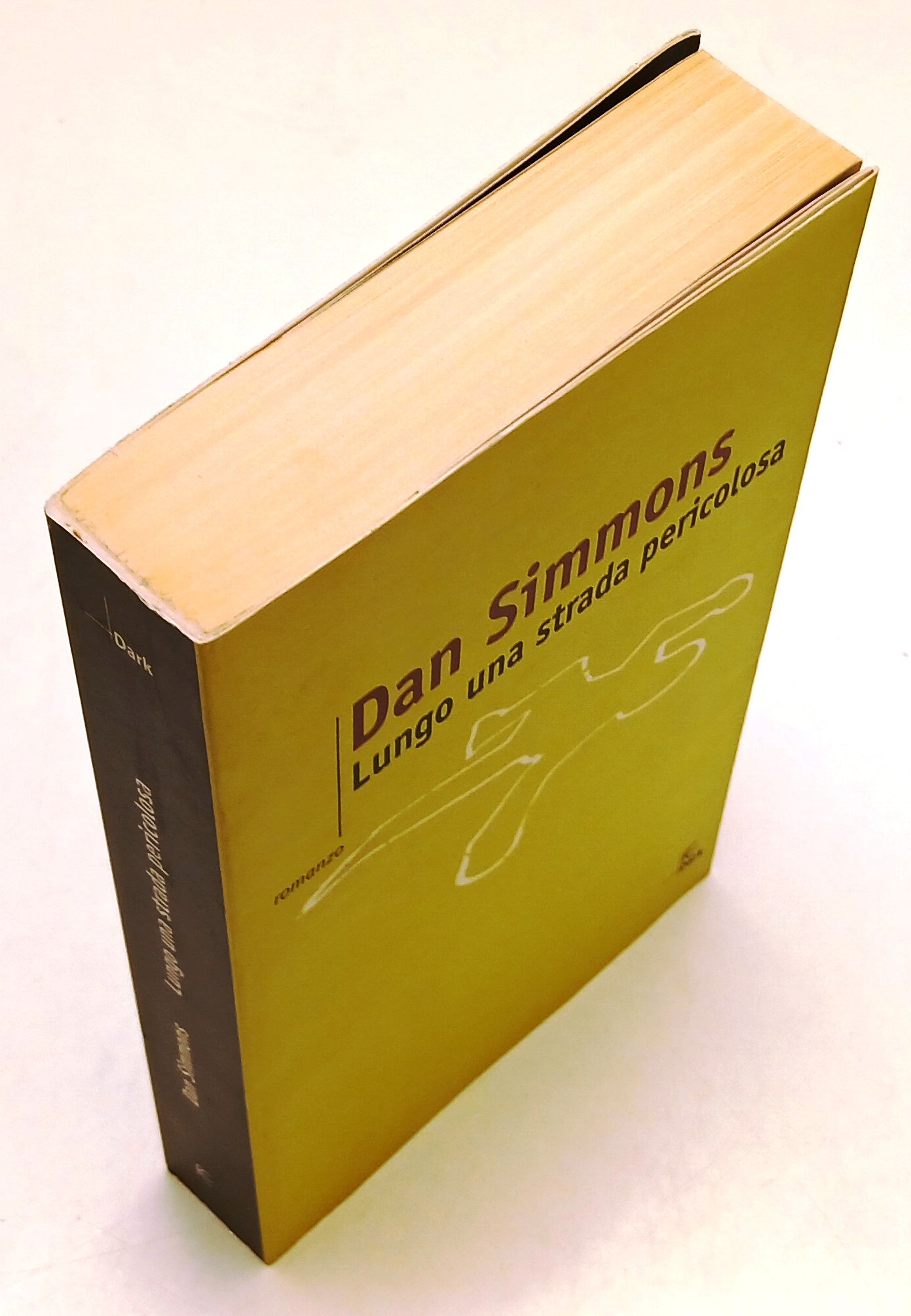 LN- LUNGO UNA STRADA PERICOLOSA - DAN SIMMONS - FANUCCI-  DARK-- 2001- B- YFS91