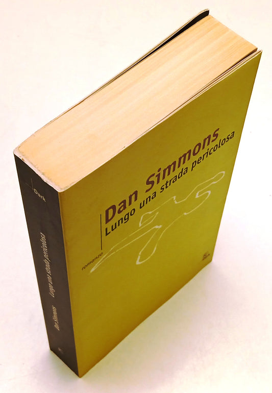 LN- LUNGO UNA STRADA PERICOLOSA - DAN SIMMONS - FANUCCI-  DARK-- 2001- B- YFS91