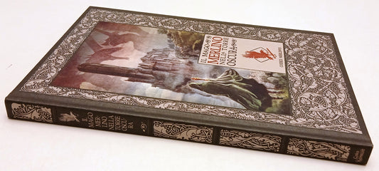 LF- LE CRONACHE DI EXCALIBUR 5 IL MAGO MERLINO NELLA TORRE OSCURA - RBA - XFS