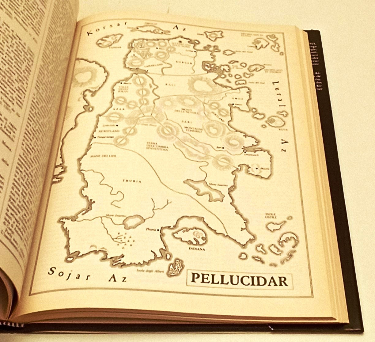LZ- MANUALE DEI LUOGHI FANTASTICI- GUADALUPI MANGUEL- RIZZOLI--- 1982- CS-YFS555