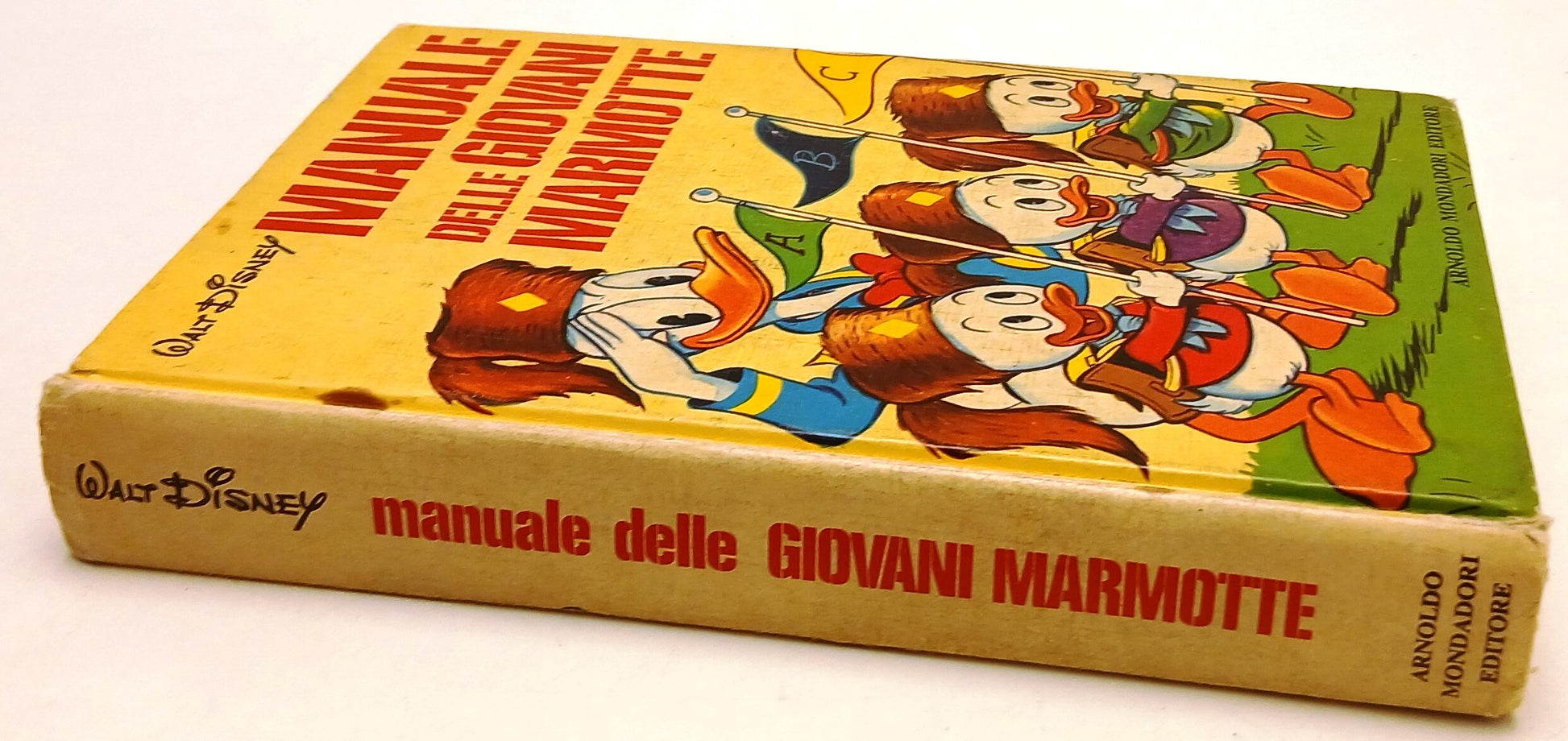 FD- MANUALE DELLE GIOVANI MARMOTTE - WALT DISNEY - MONDADORI -- C - YFS11