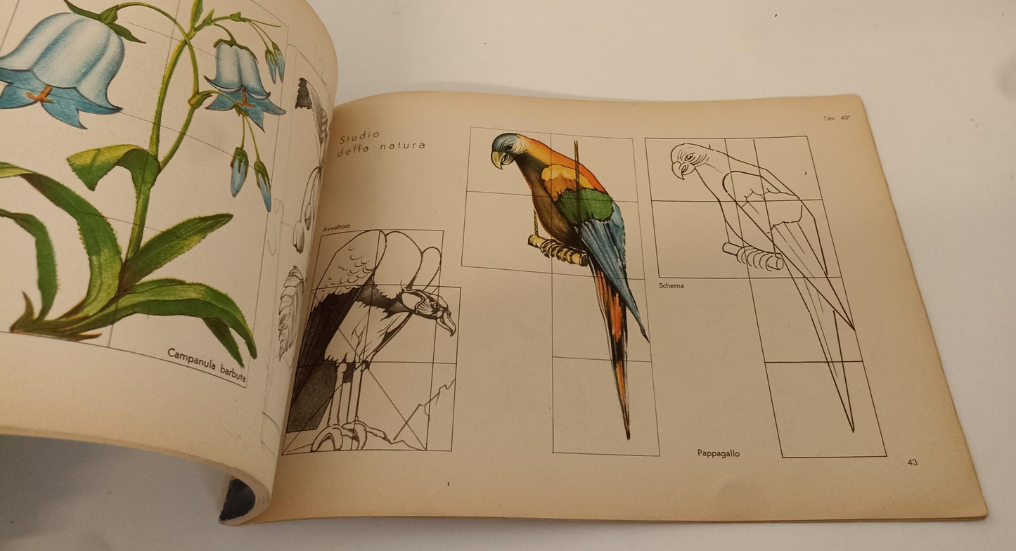 LZ- LA MATITA D'ORO DISEGNO VOLUME TERZO - PANINI SPATTINI '- FABBRI - B- YFS281