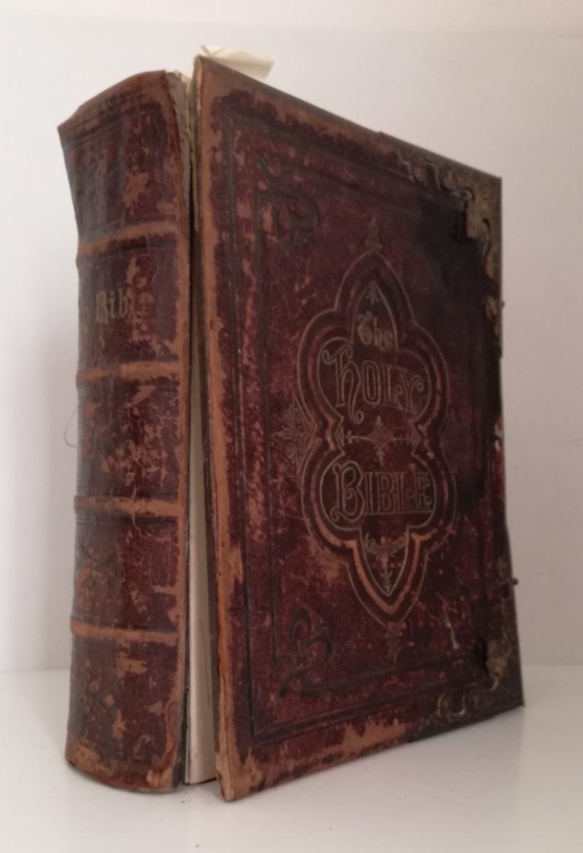 LD- THE HOLY BIBLE ILLUSTRATED - EADIE SCOTT HENRY - DODD --- 1873 - C - XFS100