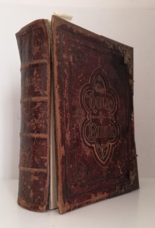 LD- THE HOLY BIBLE ILLUSTRATED - EADIE SCOTT HENRY - DODD --- 1873 - C - XFS100