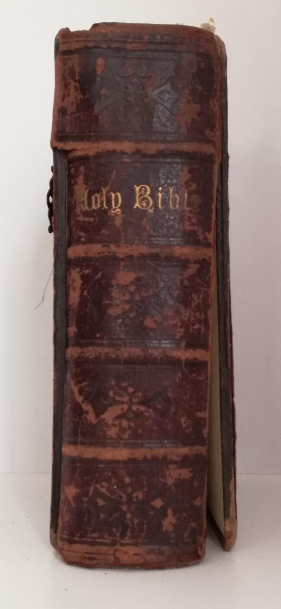 LD- THE HOLY BIBLE ILLUSTRATED - EADIE SCOTT HENRY - DODD --- 1873 - C - XFS100