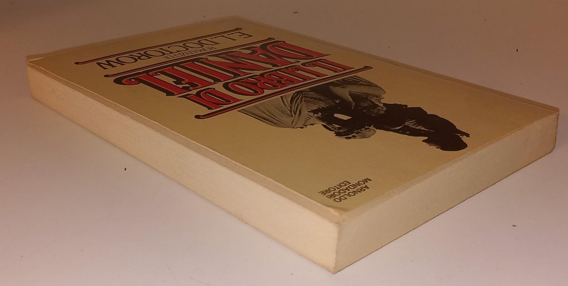 LG- IL LIBRO DI DANIEL -- MONDADORI -- 1a ED.- 1980 - B - XFS127