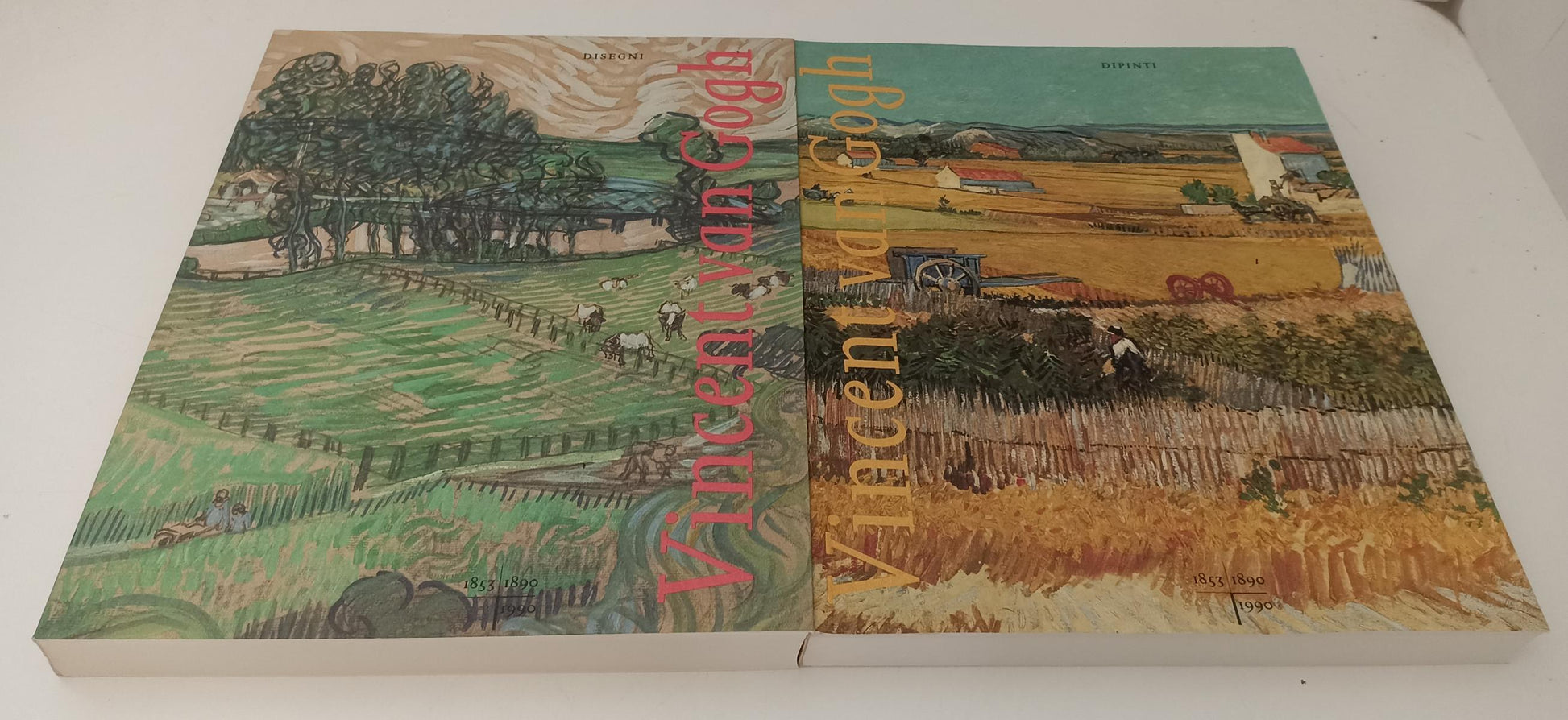 LT- VINCENT VAN GOGH COFANETTO 2 VOLUMI -- DE LUCA MONDADORI--- 1990- CS- YFS559