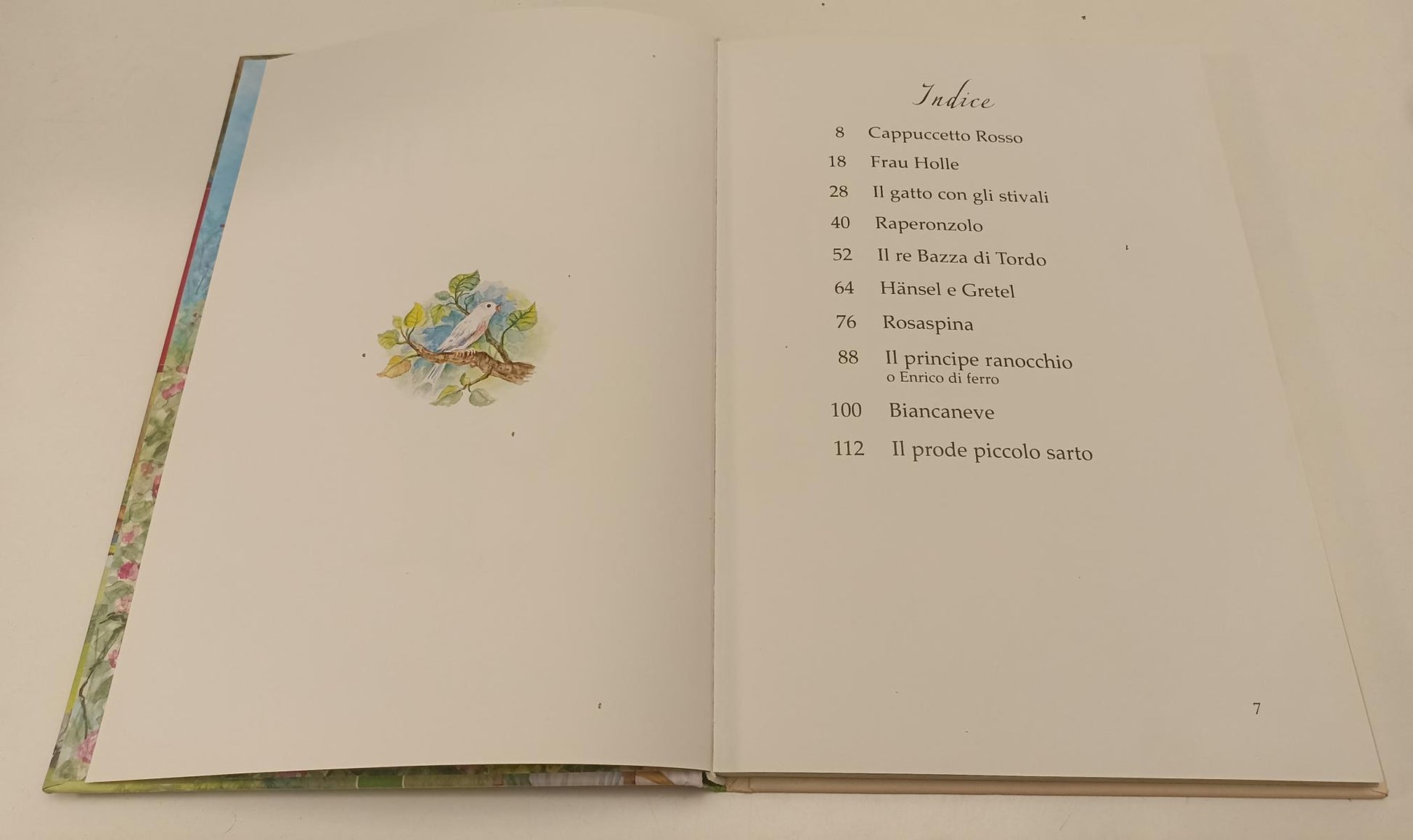LB- IL MIO GRANDE LIBRO DELLE FIABE ILLUSTRATO ROSASPINA- DAGMAR KAMMERER- C-RGZ