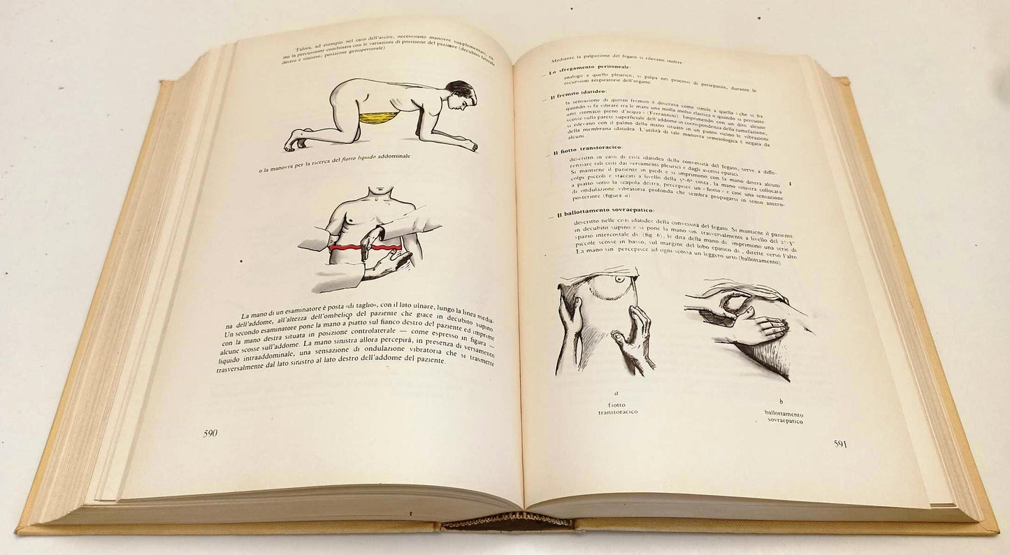 LQ- MODERNI ASPETTI DI SEMEIOTICA MEDICA - DIOGUARDI SANNA ---- 1980 - C- YFS119