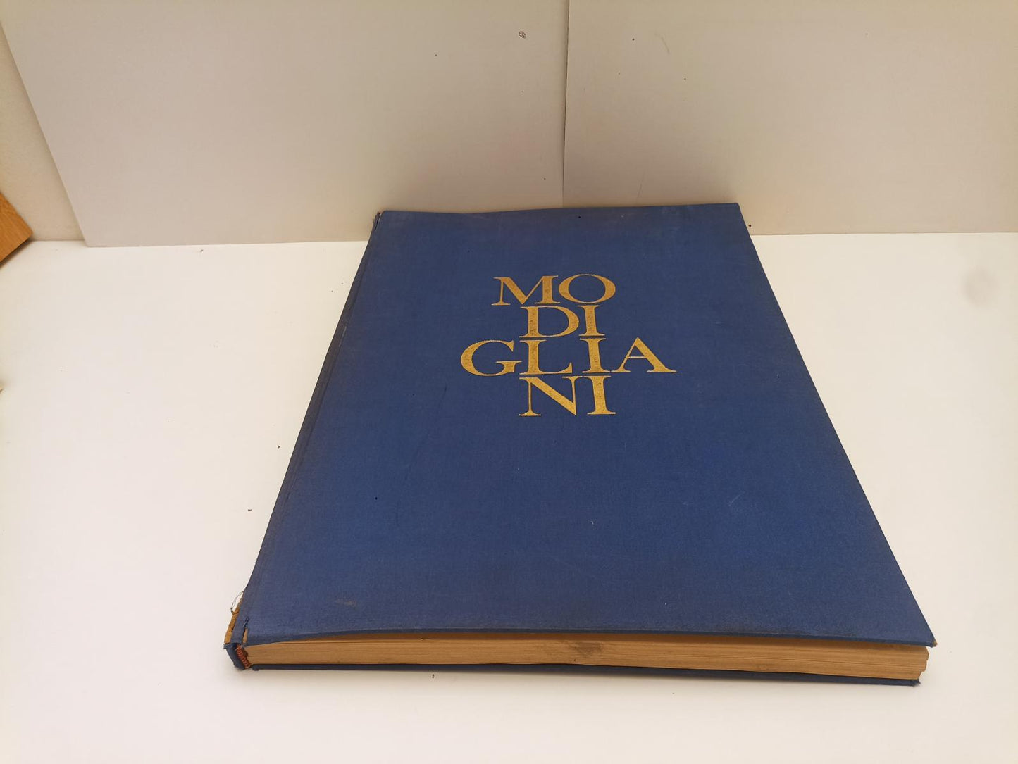 LT- MODIGLIANI- GARIBALDO MARUSSI- STUDIO EDITORIALE D'ARTE PERNA--- 1963- C-XFS